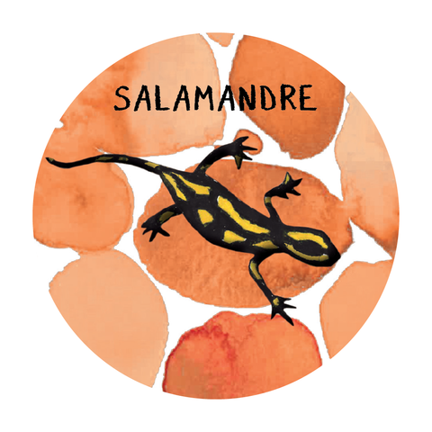 2023 Salamandre Orange Grenache Gris 20L Keg