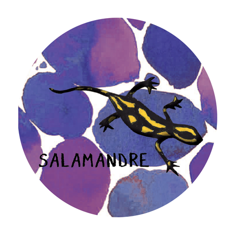 2023 Salamandre Rouge Syrah 20L Keg