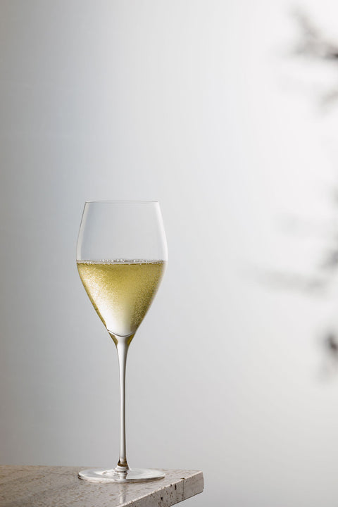 Terre Glassware Champagne Glass