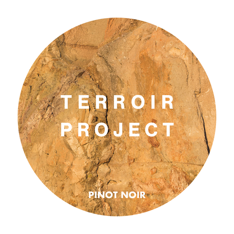 2019 Terroir Project Pinot Noir 20L Keg